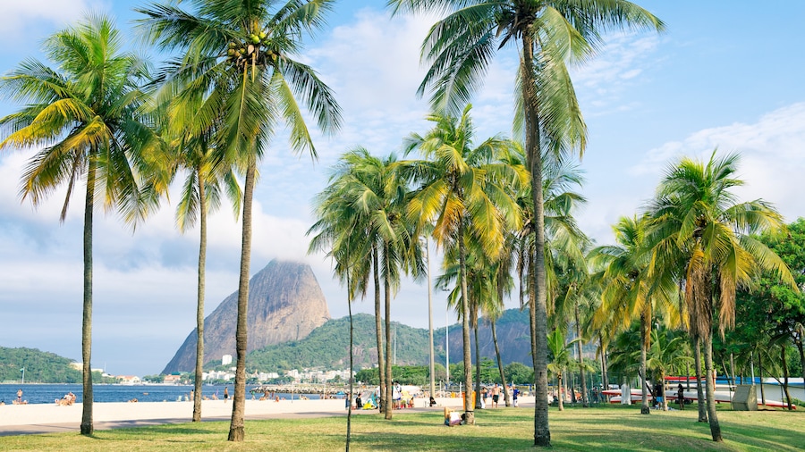 Praia do Flamengo