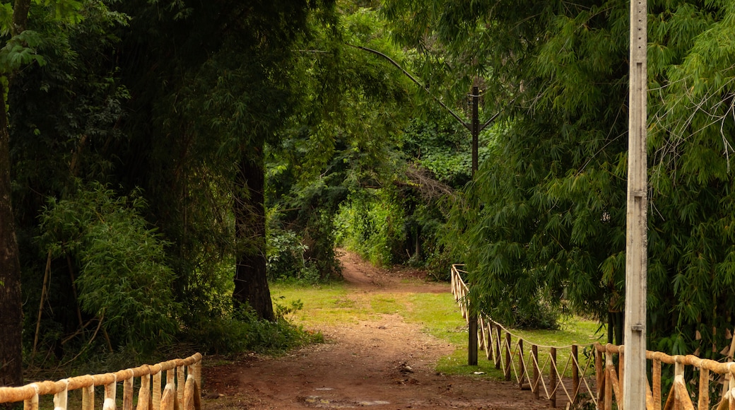 Jardim Goiás