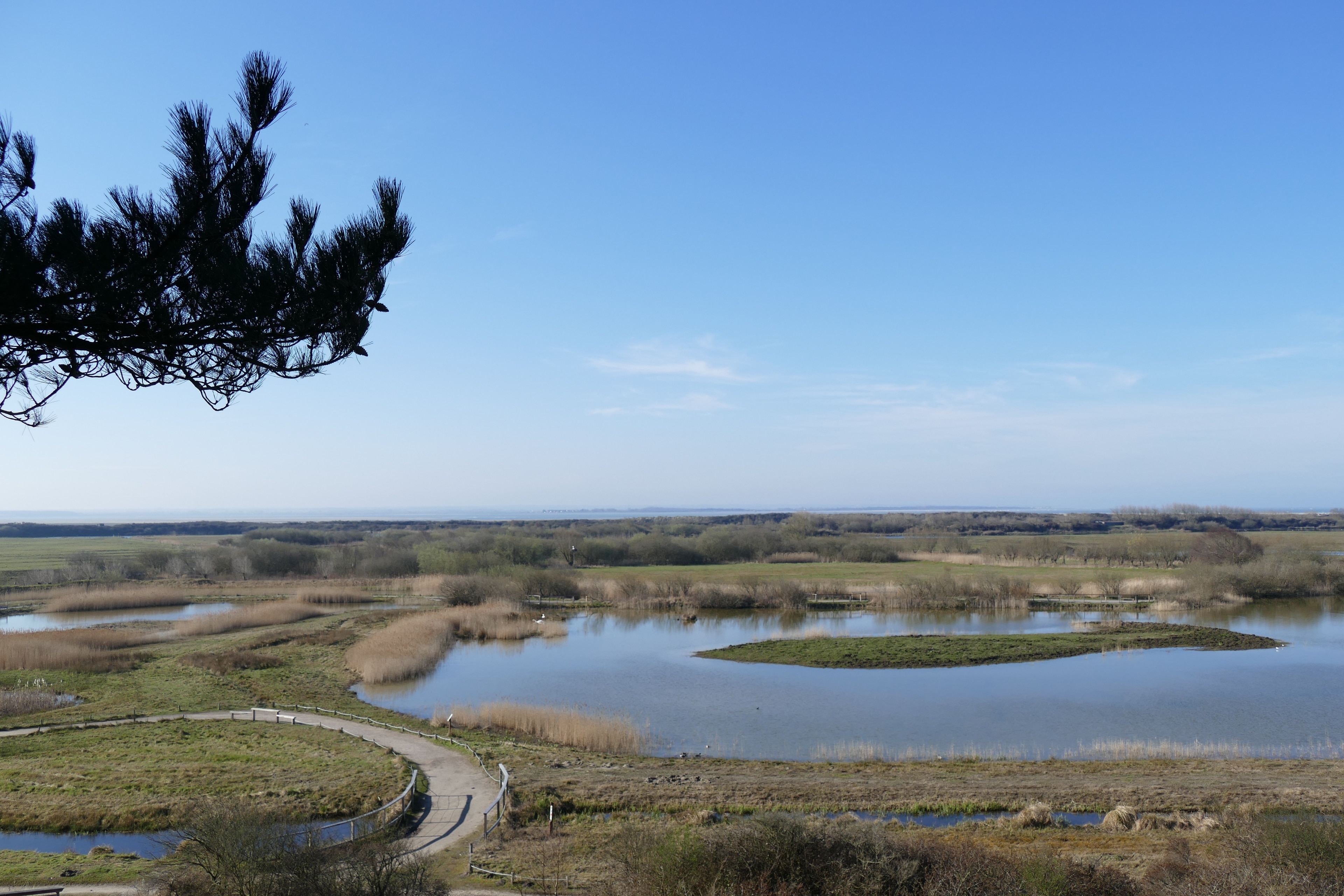 Saint-Quentin-en-Tourmont