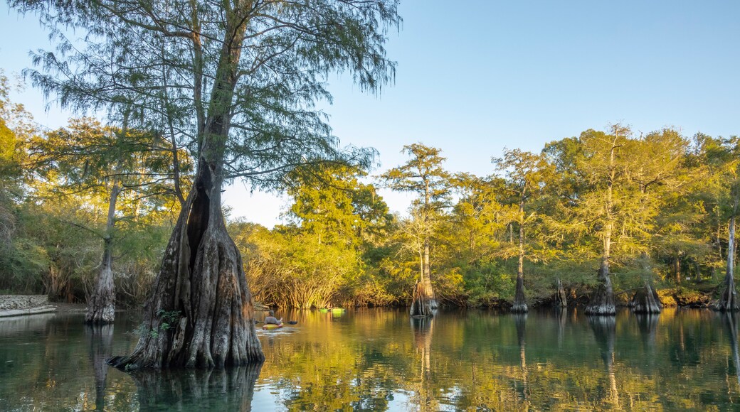 Suwannee River