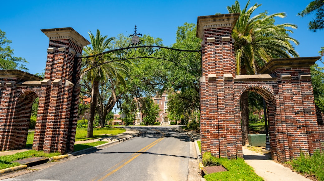 florida state university college tours