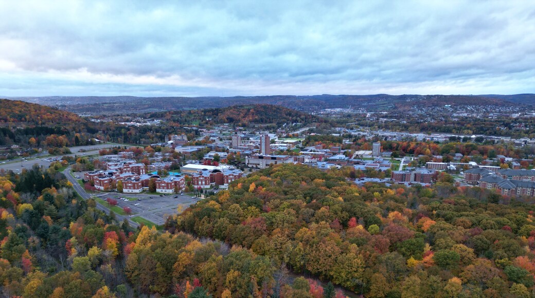 Binghamton