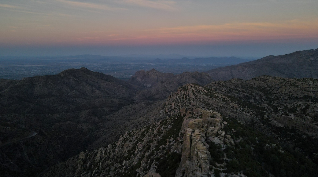 Mount Lemmon