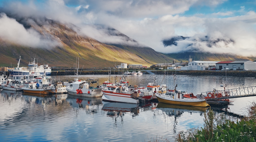 Bolungarvik