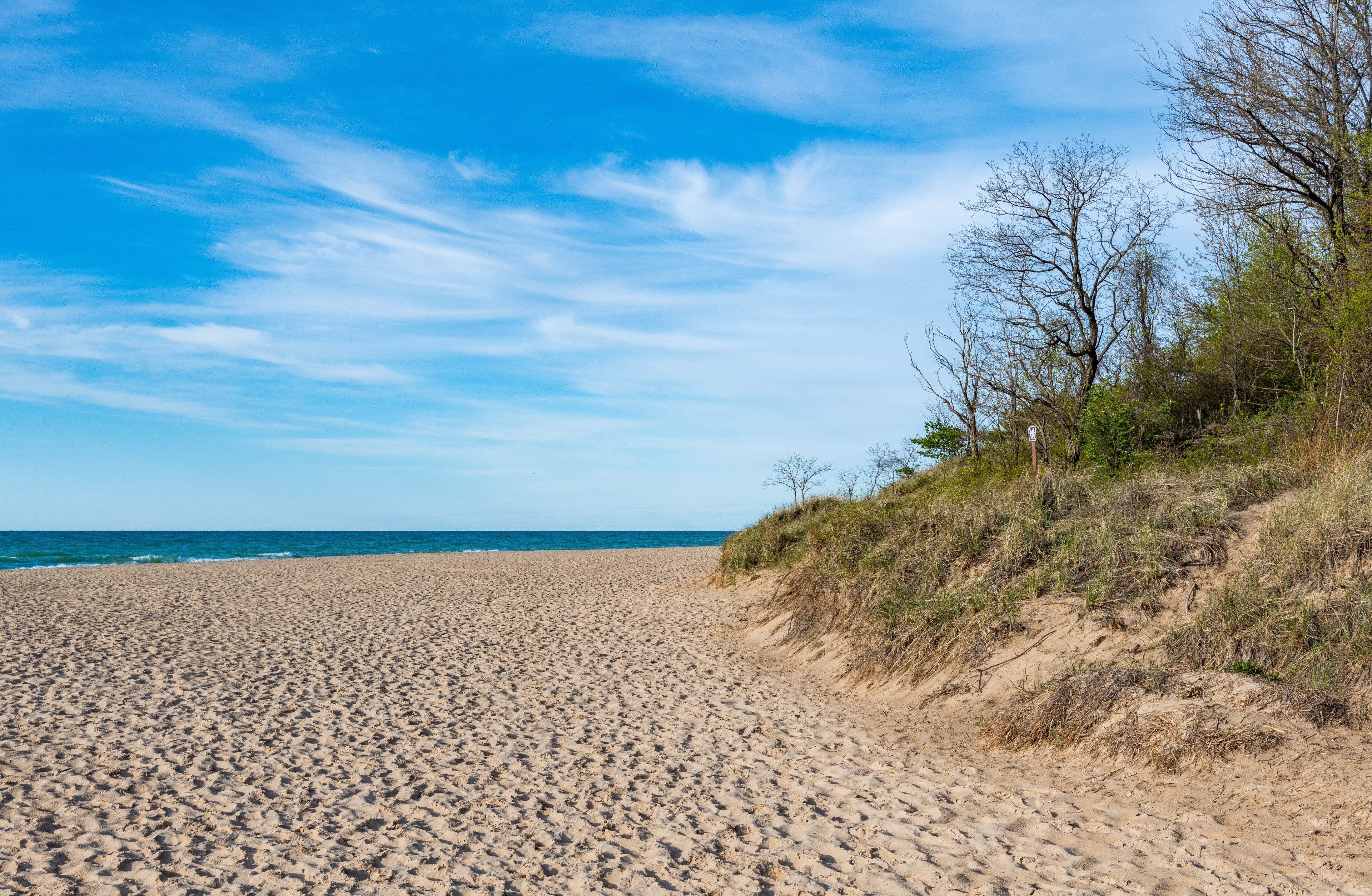 are dogs allowed at the indiana dunes