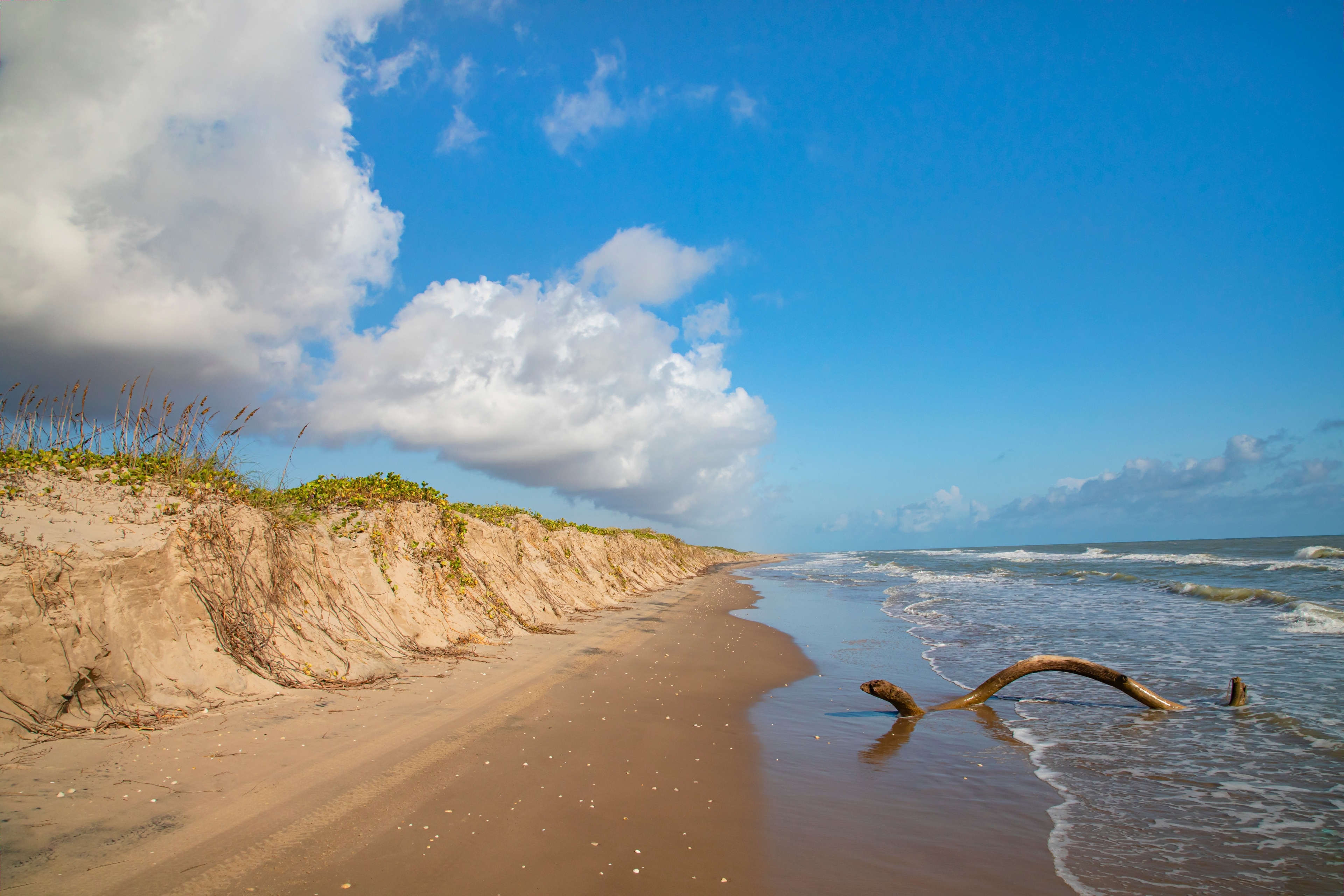 South Padre Island Beach