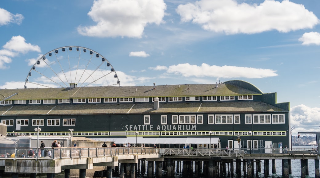 Aquarium van Seattle