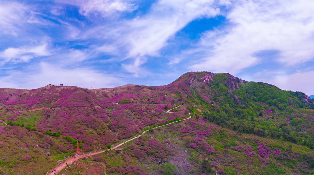 Hwangmaesan County Park