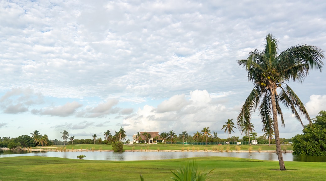 Riviera Cancun Golf Resort
