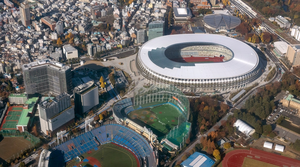 สนามกีฬาเมจิ จินกุ