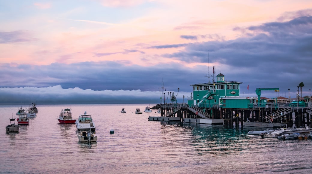 Catalina Island handelskammer og besøkssenter