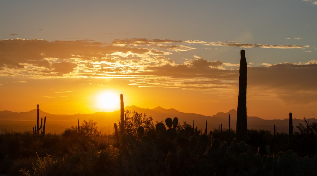 Dove Mountain