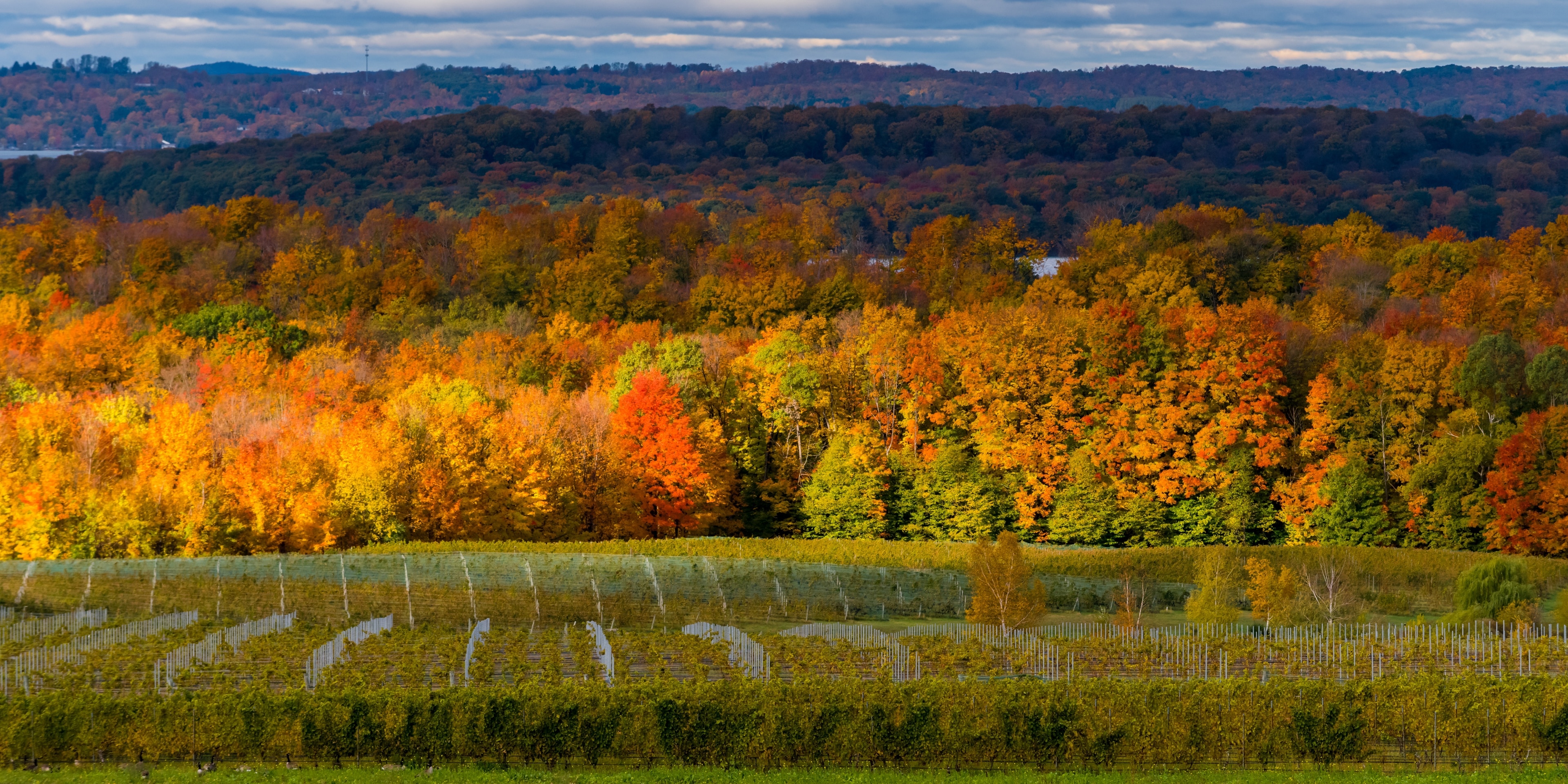 Top Hotels with a Fitness Center in Traverse City MI Hotels