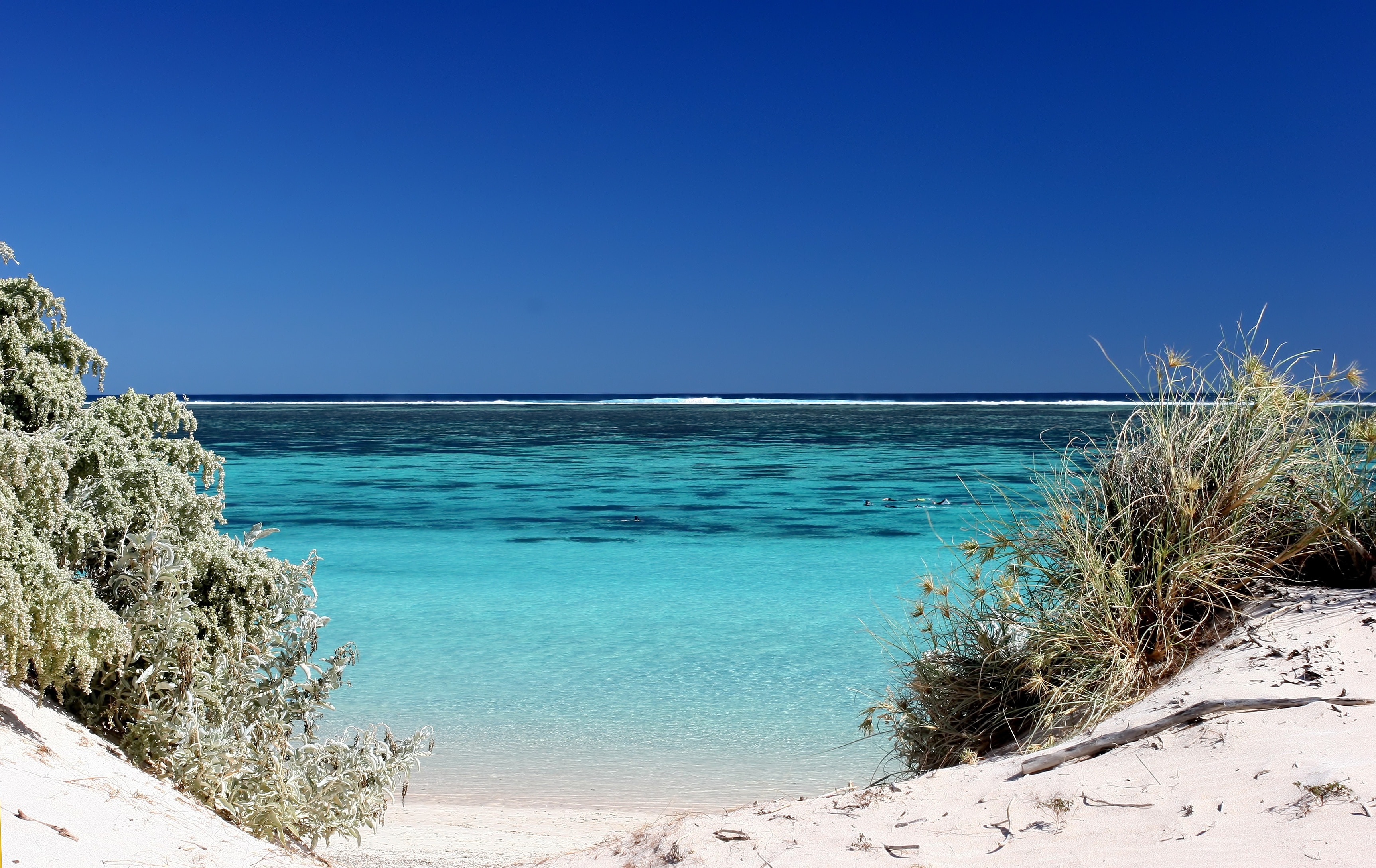 Ningaloo Reef Tours - Book Now | Expedia