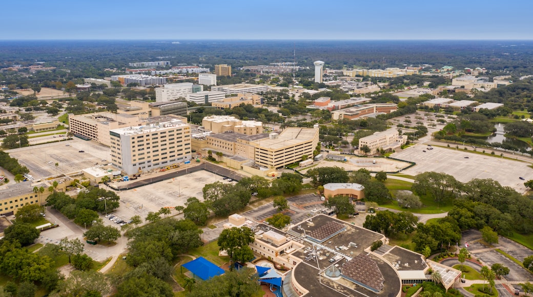 University of South Florida, Tampa, Florida, Stati Uniti d'America