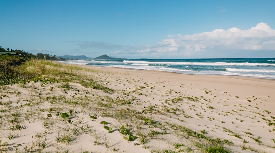 Playa de Garopaba