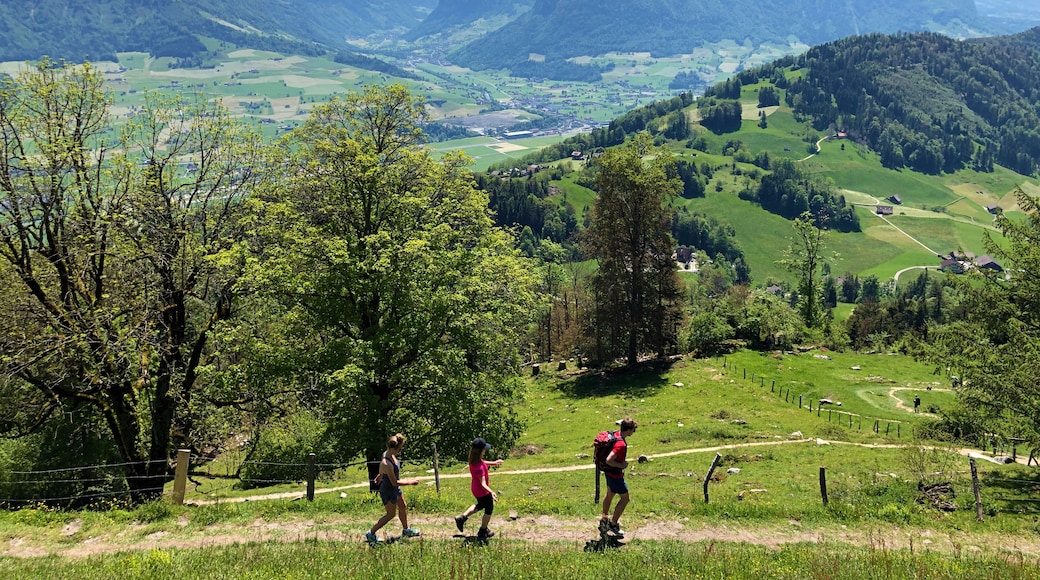 Bürgenstock