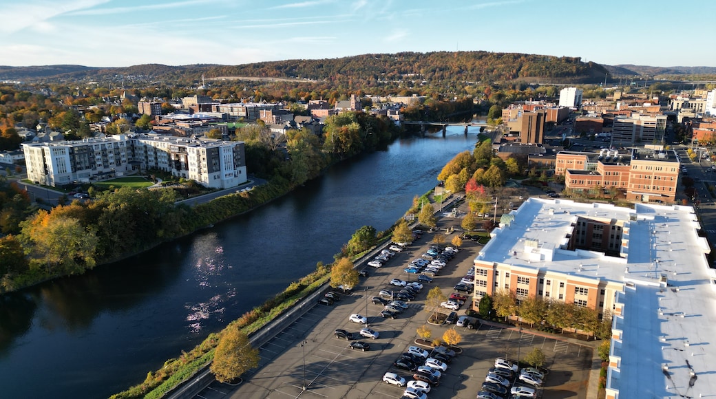 Binghamton
