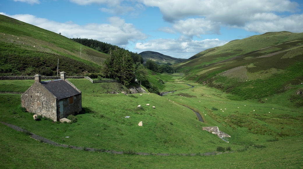 Pentland Hills Regional Park