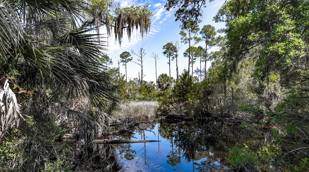 Suwannee River