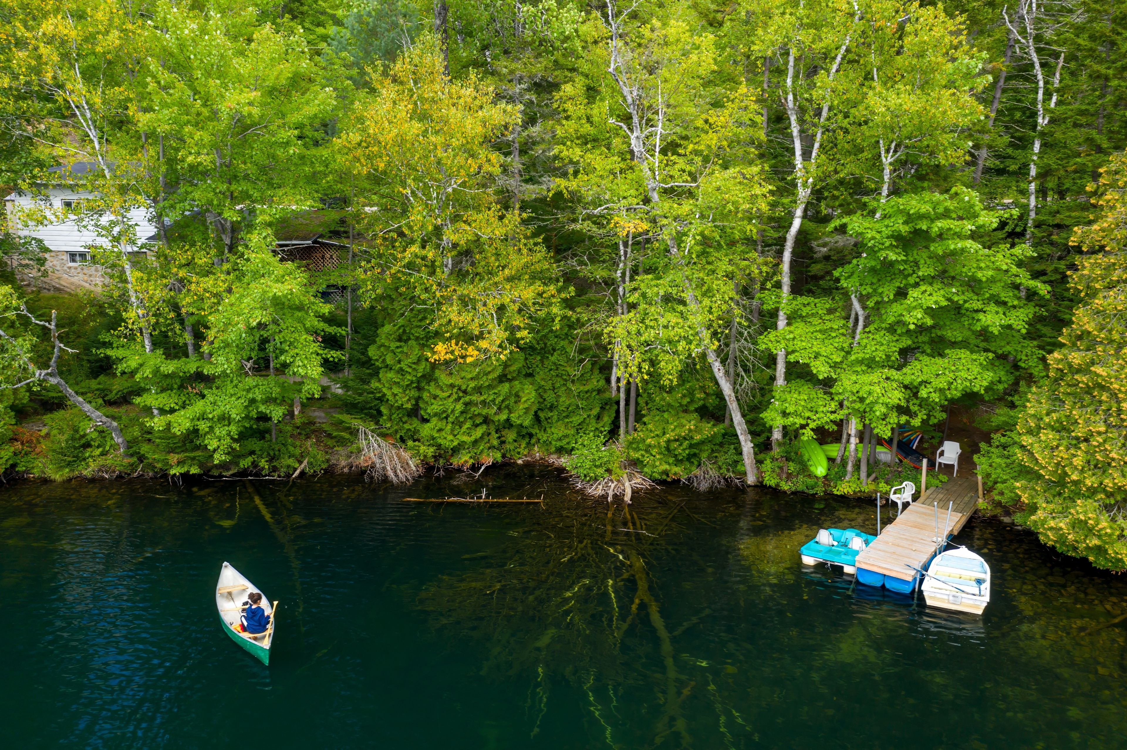 Saint-Alexis-des-Monts