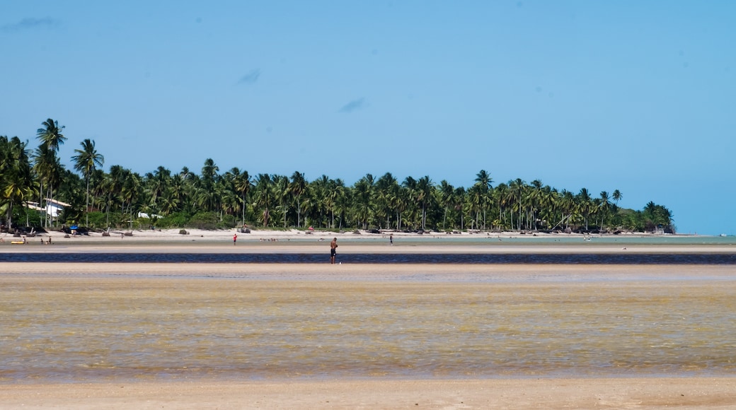 Praia de São Miguel dos Milagres