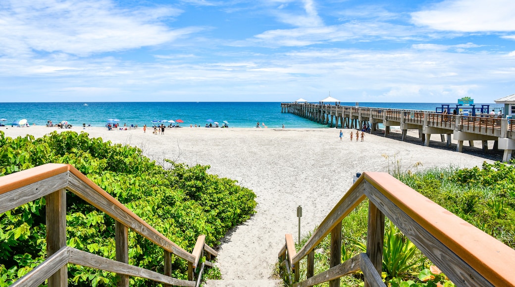 Juno Beach