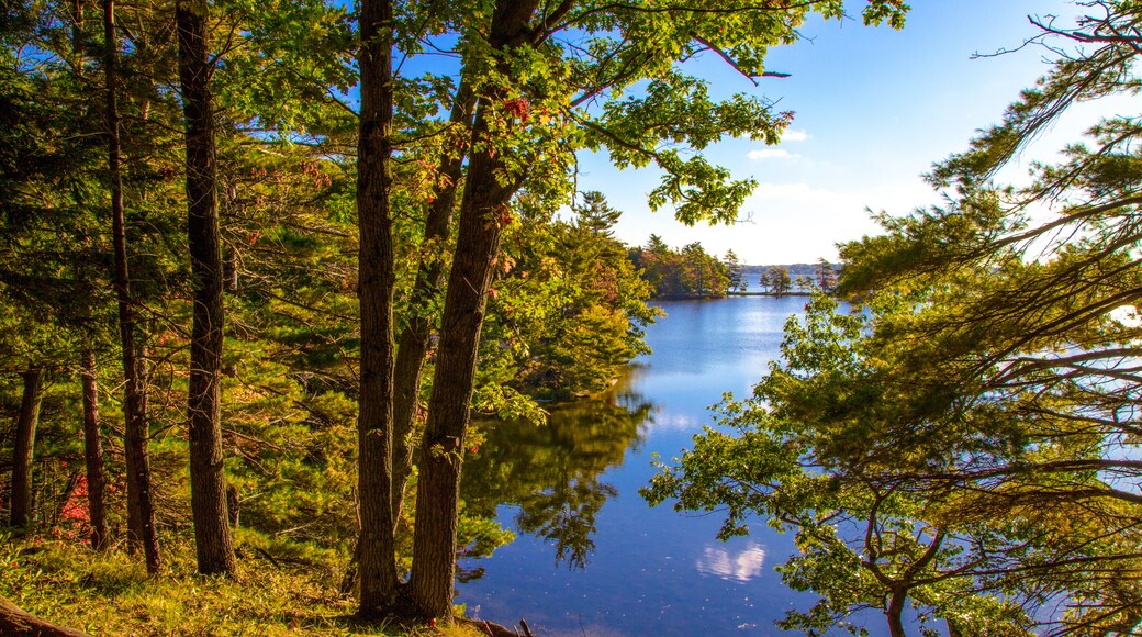 Hamlin Lake