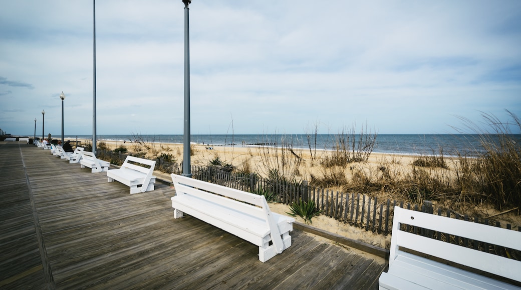 Rehoboth Beach, Delaware, United States of America
