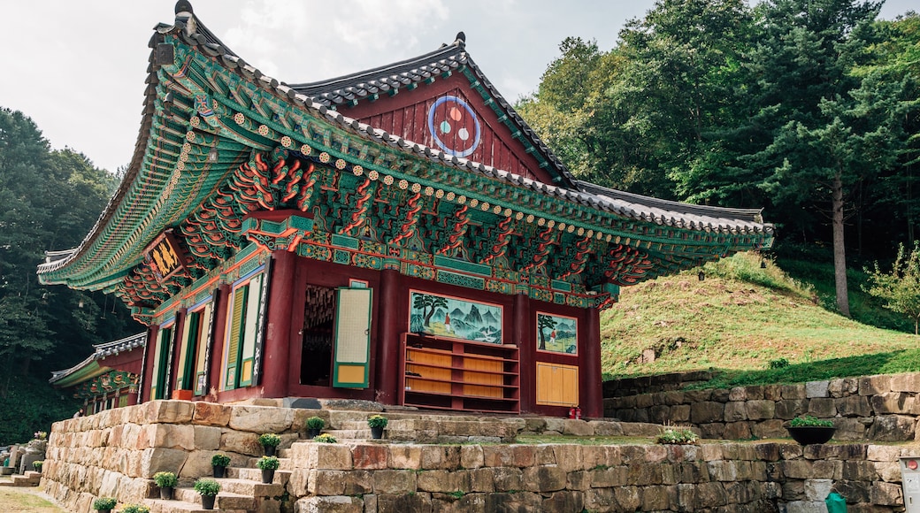Wonju, Gangwon, South Korea