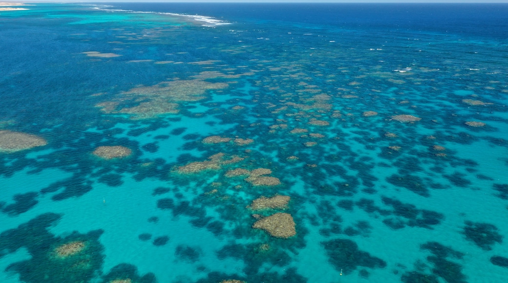 Barriera corallina di Ningaloo