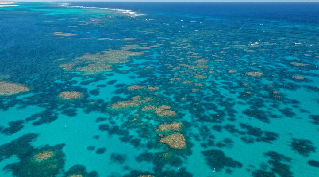 Barriera corallina di Ningaloo