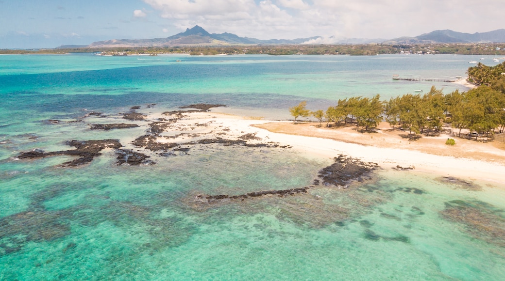 Île au Cerf