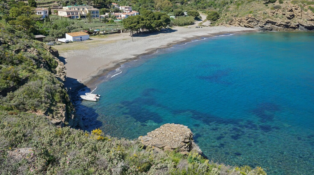 Cala Joncols