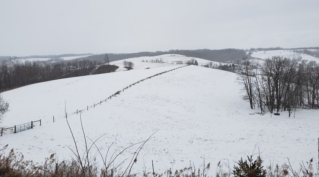 ์๋ํฌ๋ฆฌํฌ