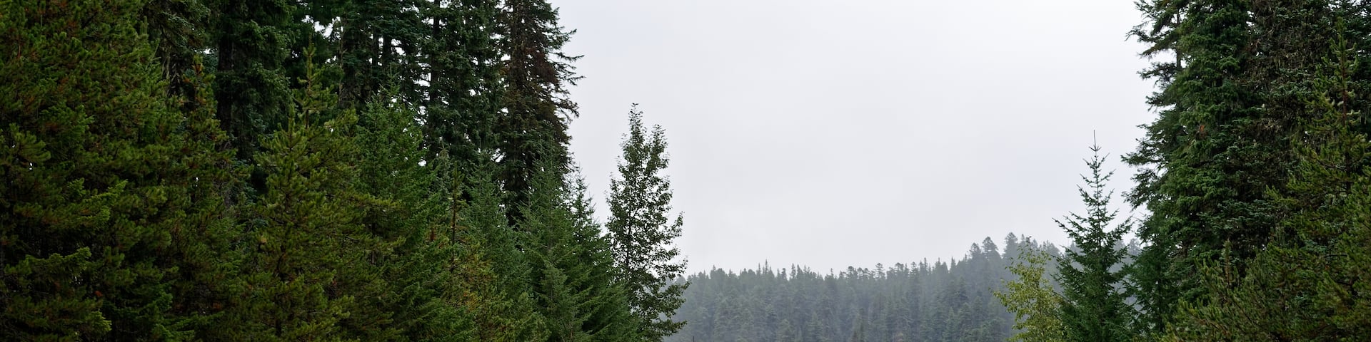 Rhododendron, Oregón, Estados Unidos