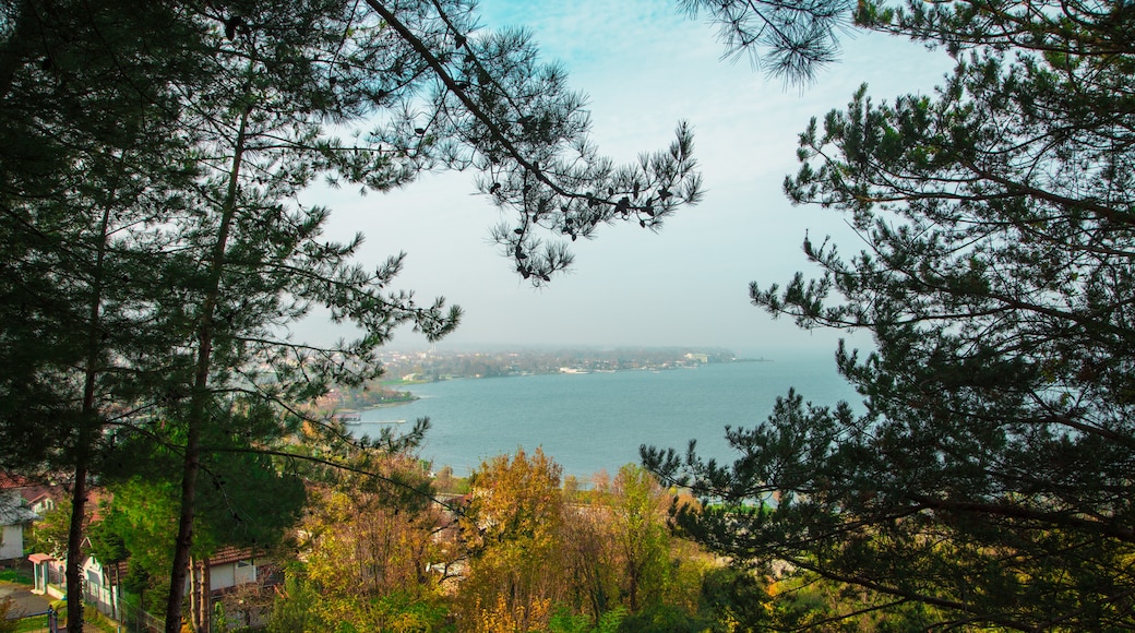 Parque del lago Sapanca