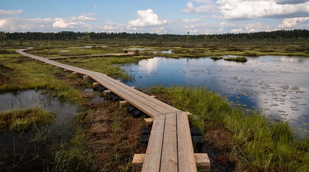 Parc national de Soomaa