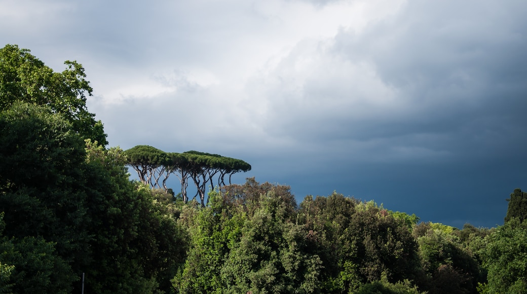 Bioparco di Roman eläintarha