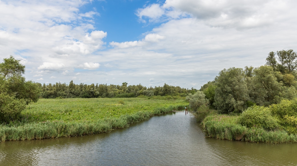 Nationalpark De Biesbosch