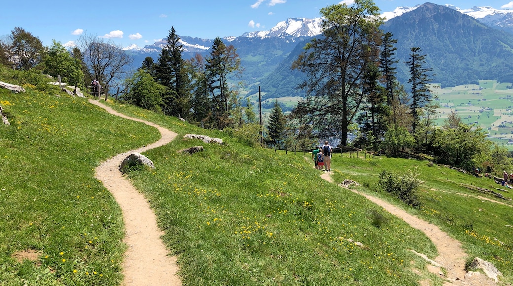 Cantón de Nidwalden