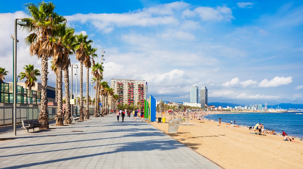 Barceloneta strand, Barcelona, Cataluña, Spania
