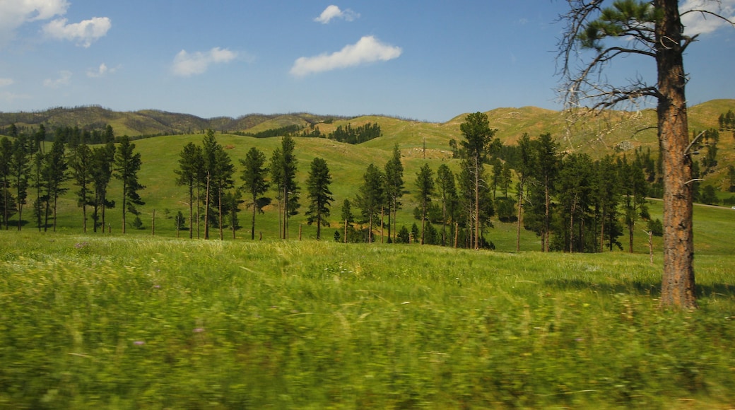 Parc national de Wind Cave