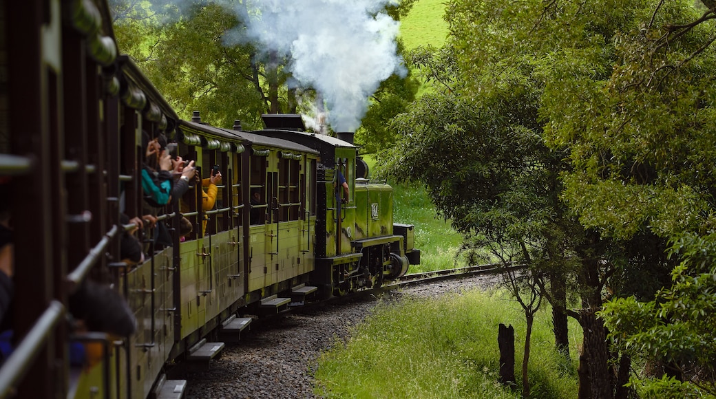 Treno a vapore Puffing Billy