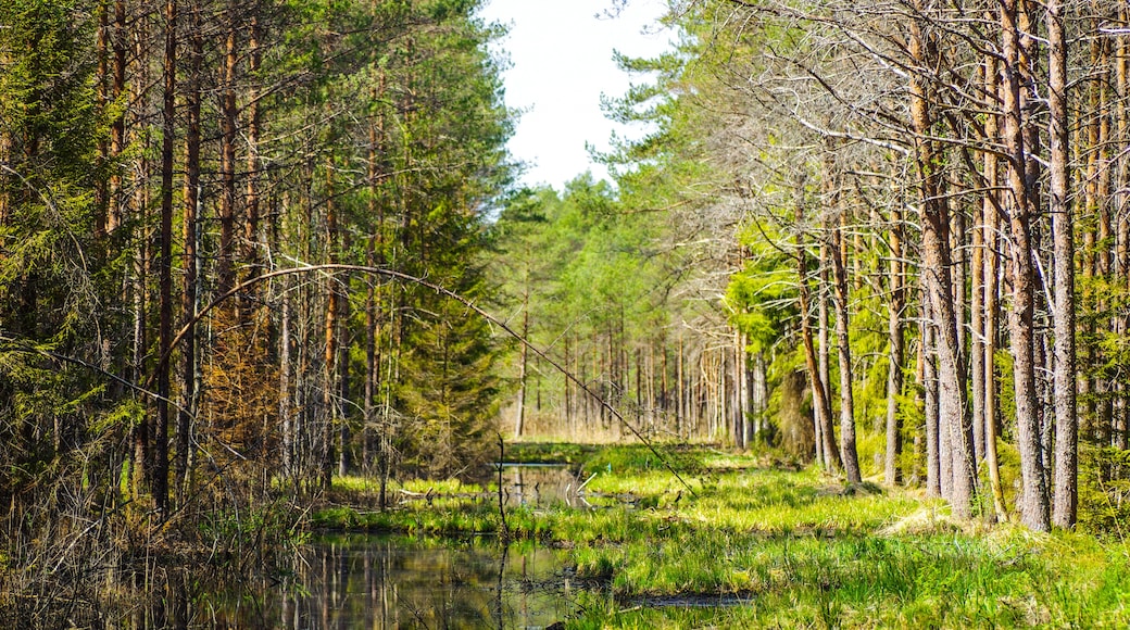 Soomaa National Park