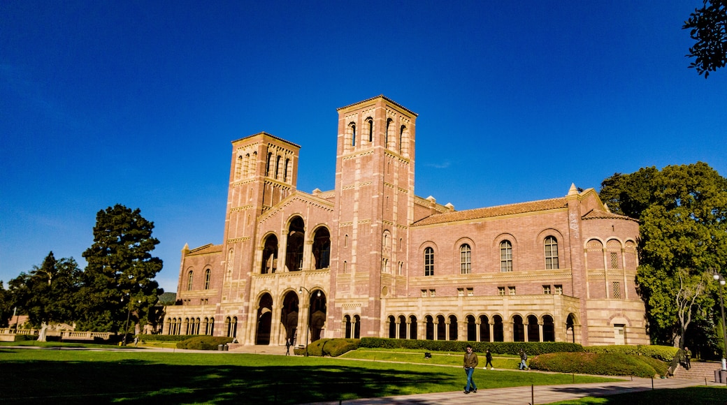 University of California, Los Angeles, Los Angeles, California, United States of America