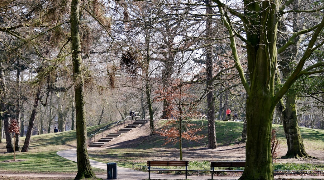 Parque Eppendorfer