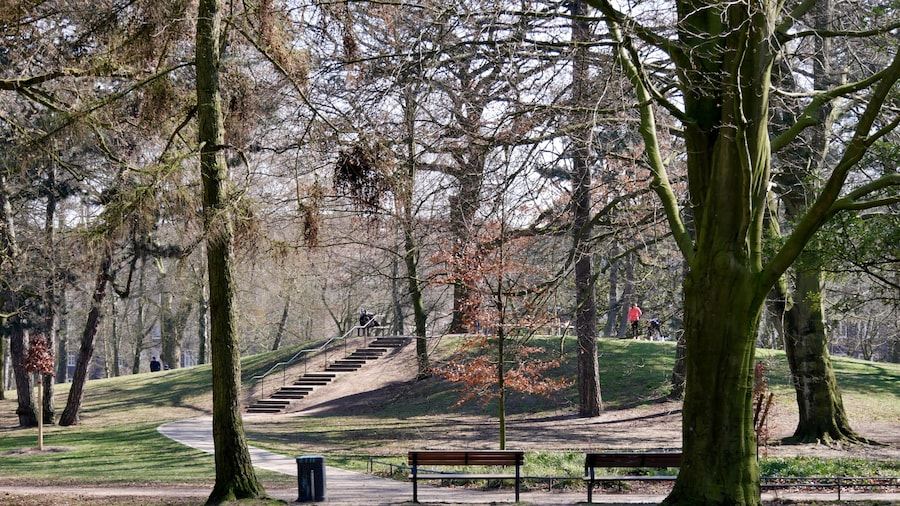 Parque Eppendorfer