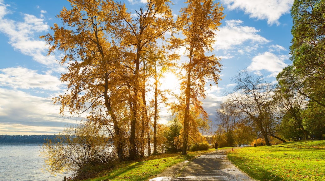 Green Lake Park