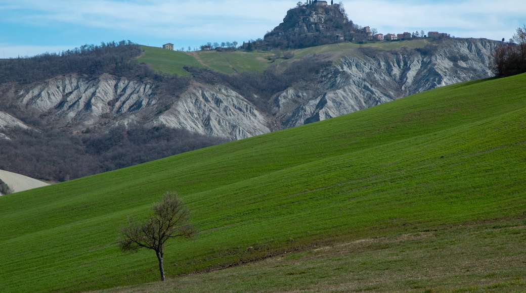 Province of Reggio nell'Emilia